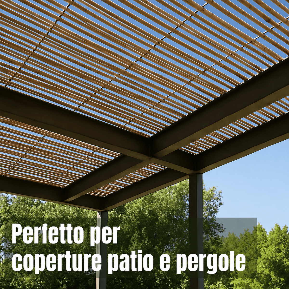 ARELLA BAMBÙ CANNICCIO - ELETTROFER
