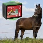 BATTERIA A SECCO PER RECINZIONE ELETTRICA - ELETTROFER