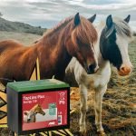 BATTERIA A SECCO PER RECINZIONE ELETTRICA - ELETTROFER