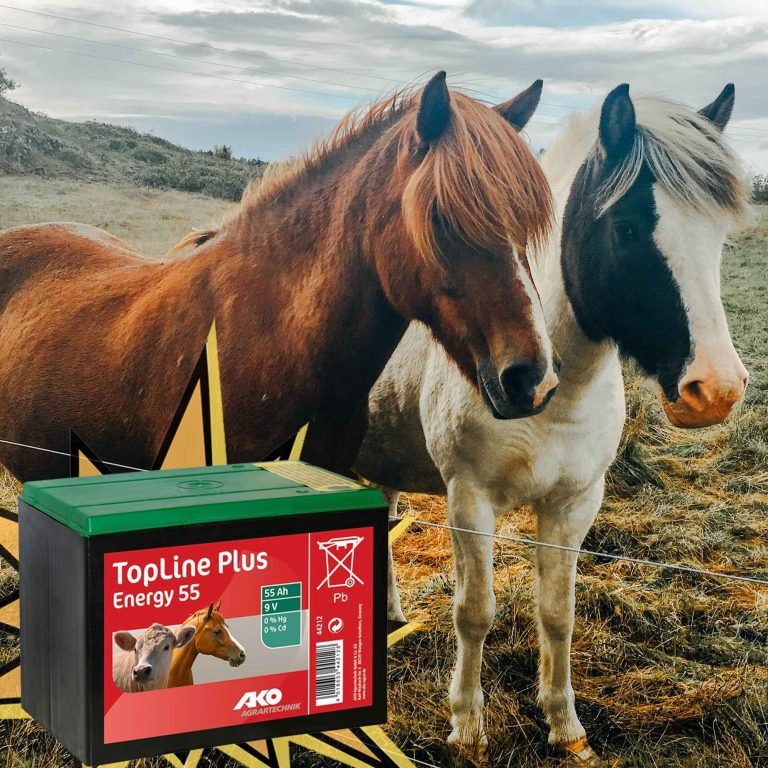 BATTERIA A SECCO PER RECINZIONE ELETTRICA - ELETTROFER