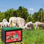 BATTERIA A SECCO PER RECINZIONE ELETTRICA - ELETTROFER