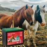 BATTERIA A SECCO PER RECINZIONE ELETTRICA - ELETTROFER