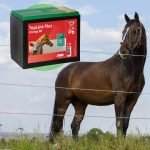 BATTERIA A SECCO PER RECINZIONE ELETTRICA - ELETTROFER