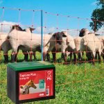 BATTERIA A SECCO PER RECINZIONE ELETTRICA - ELETTROFER