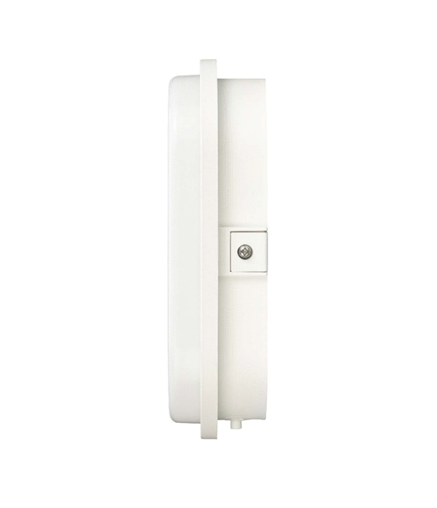 LAMPADA OVALE A LED OL 1650 (lampada da cantina per montaggio a parete, 15W, 1680lm, 4000K, adatto per uso interno ed esterno IP65) - ELETTROFER