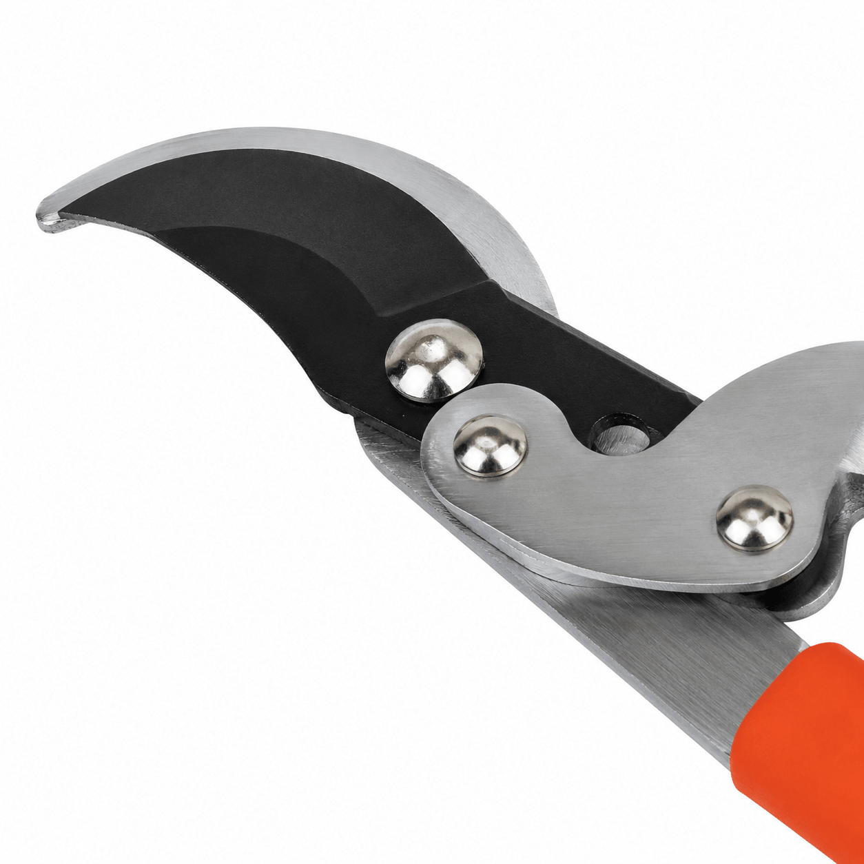 Troncarami LIF By - Pass e Battente – Potatura Professionale - ELETTROFER