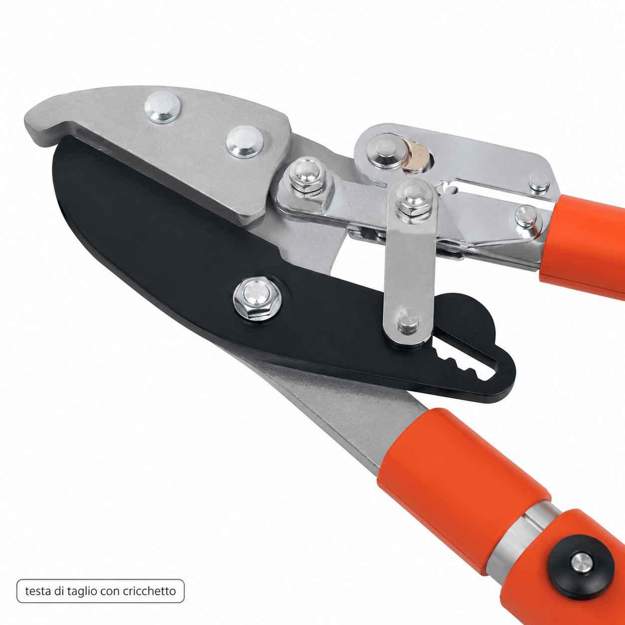 Troncarami LIF By - Pass e Battente – Potatura Professionale - ELETTROFER